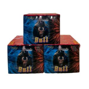 Bull