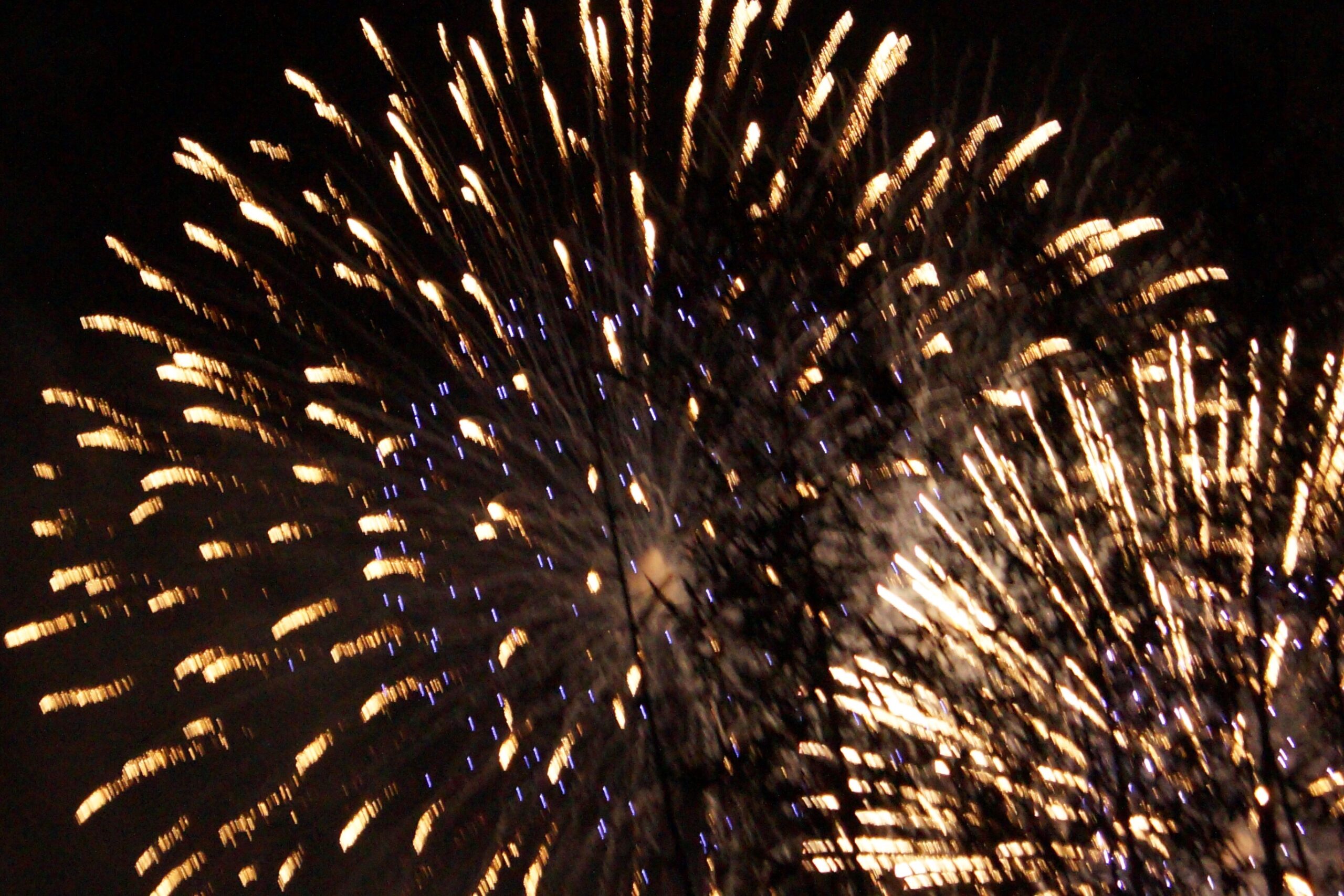 Fuochi d’artificio a Milano | Vieni da noi di Bob Caselli
