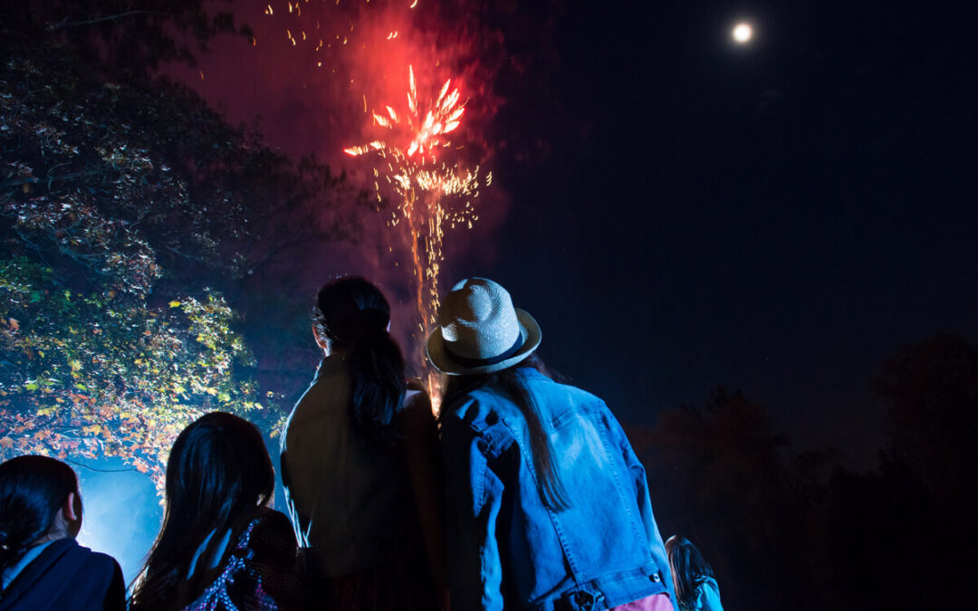 Fuochi d’Artificio Personalizzati: creare uno show su misura