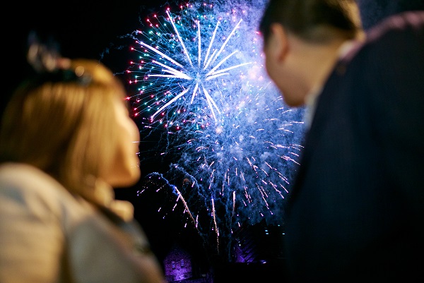 Sicurezza e professionalità: cosa distingue uno spettacolo autorizzato da uno improvvisato